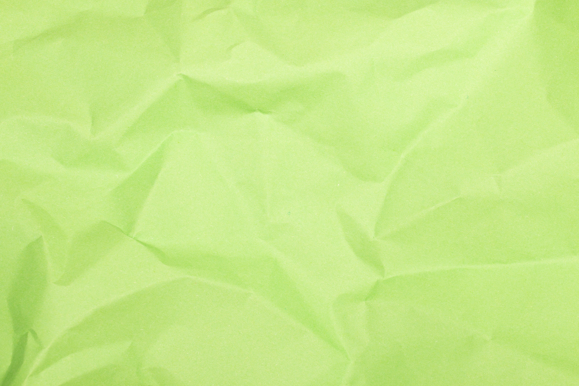 Green Crinkled Paper